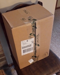When my first Young Living package arrived, I could hardly stand the excitement!